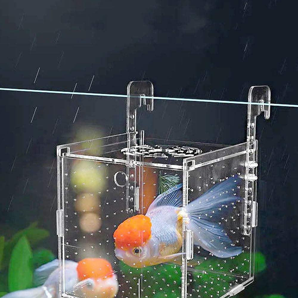 Amazon | 水槽セット 魚 繁殖隔離ボックス 産卵ケース グッピー 産卵箱